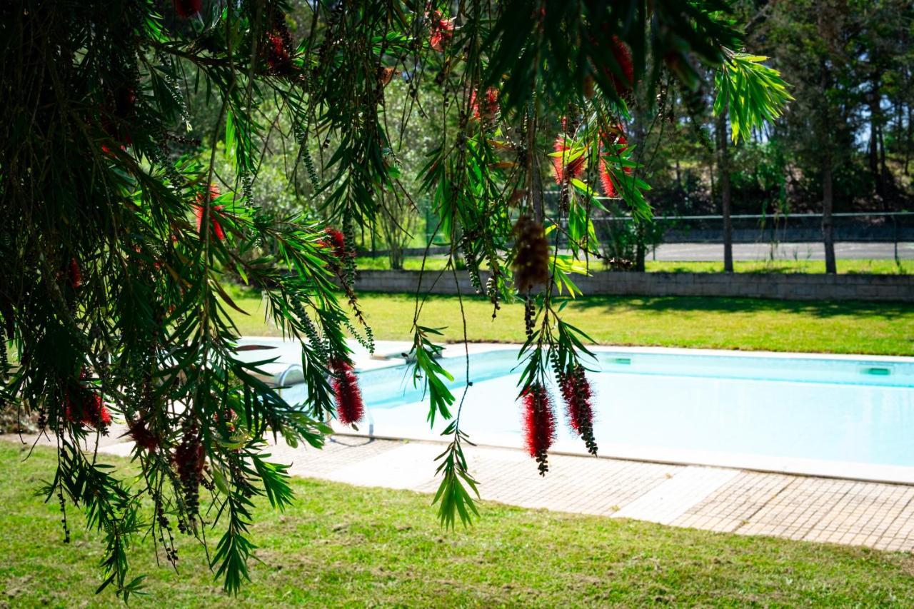 Hotel Rural Quinta Do Juncal Serra d'El-Rei Exterior photo